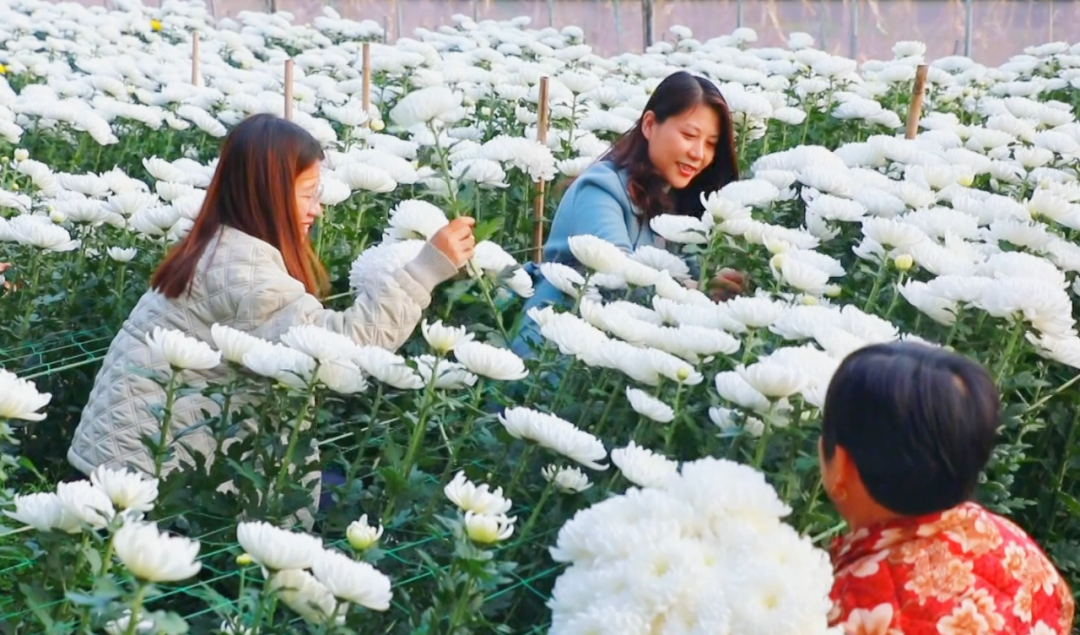 �F�ǅ^(q��)���ջ������M�ء���