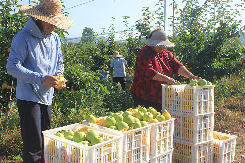 ��ó������Ѕ^(q��)ǰ�����@��(g��)���@������������